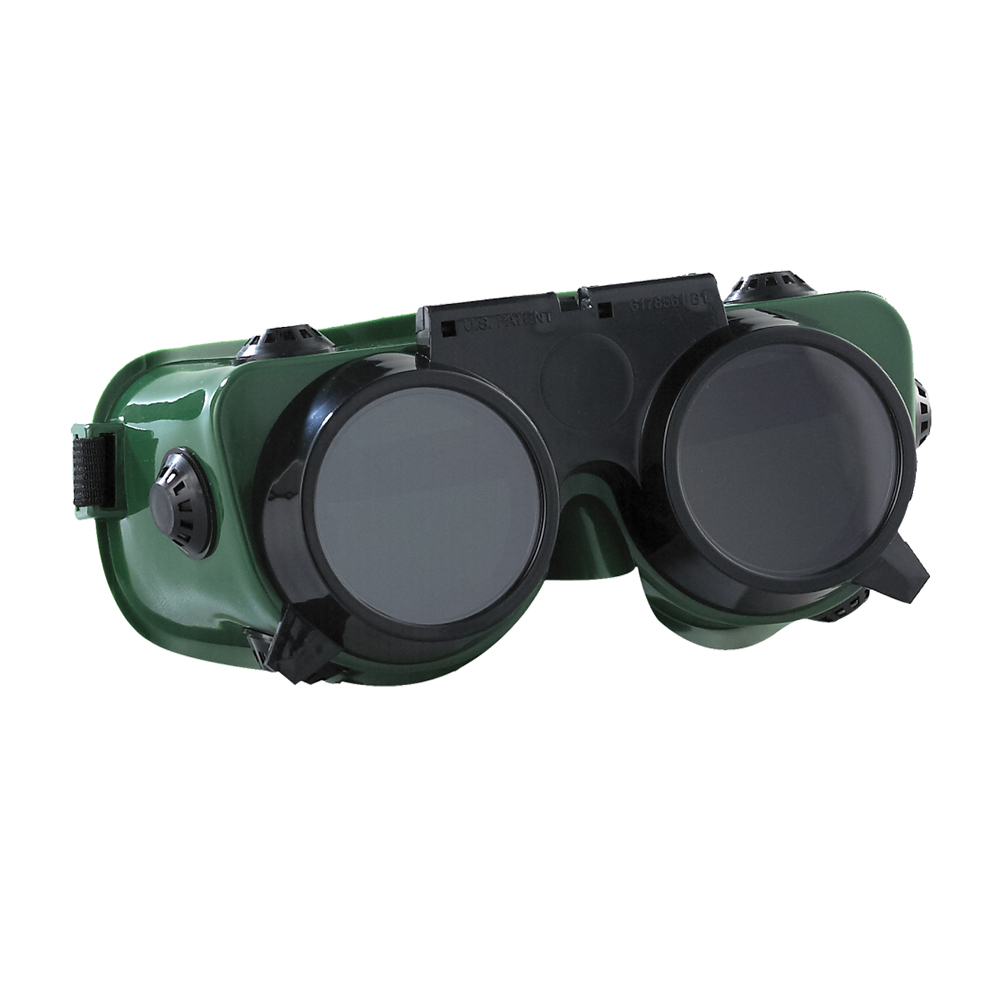 GW250 GOGGLES